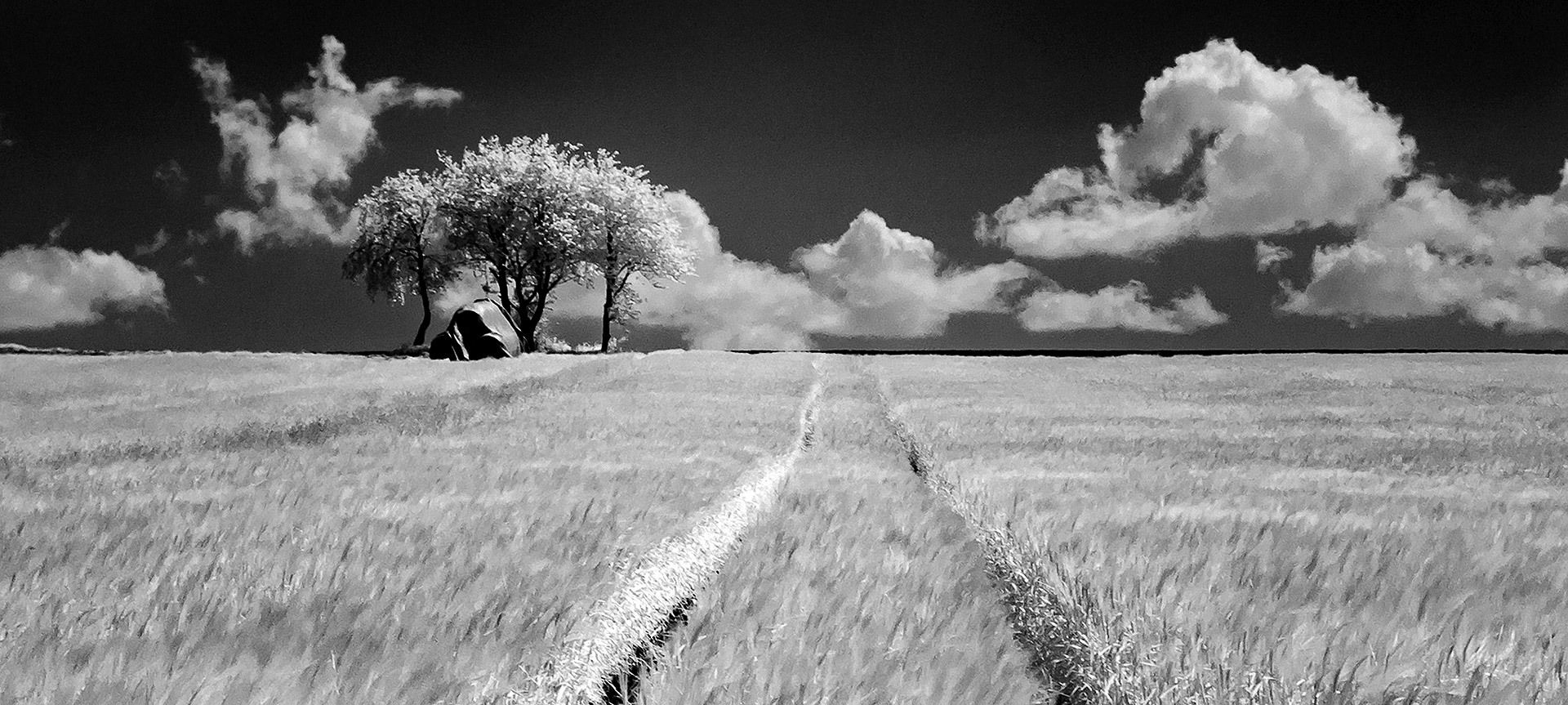 Design + Marketing Fotografie Infrarot Design + Marketing Fotografie Infrarot