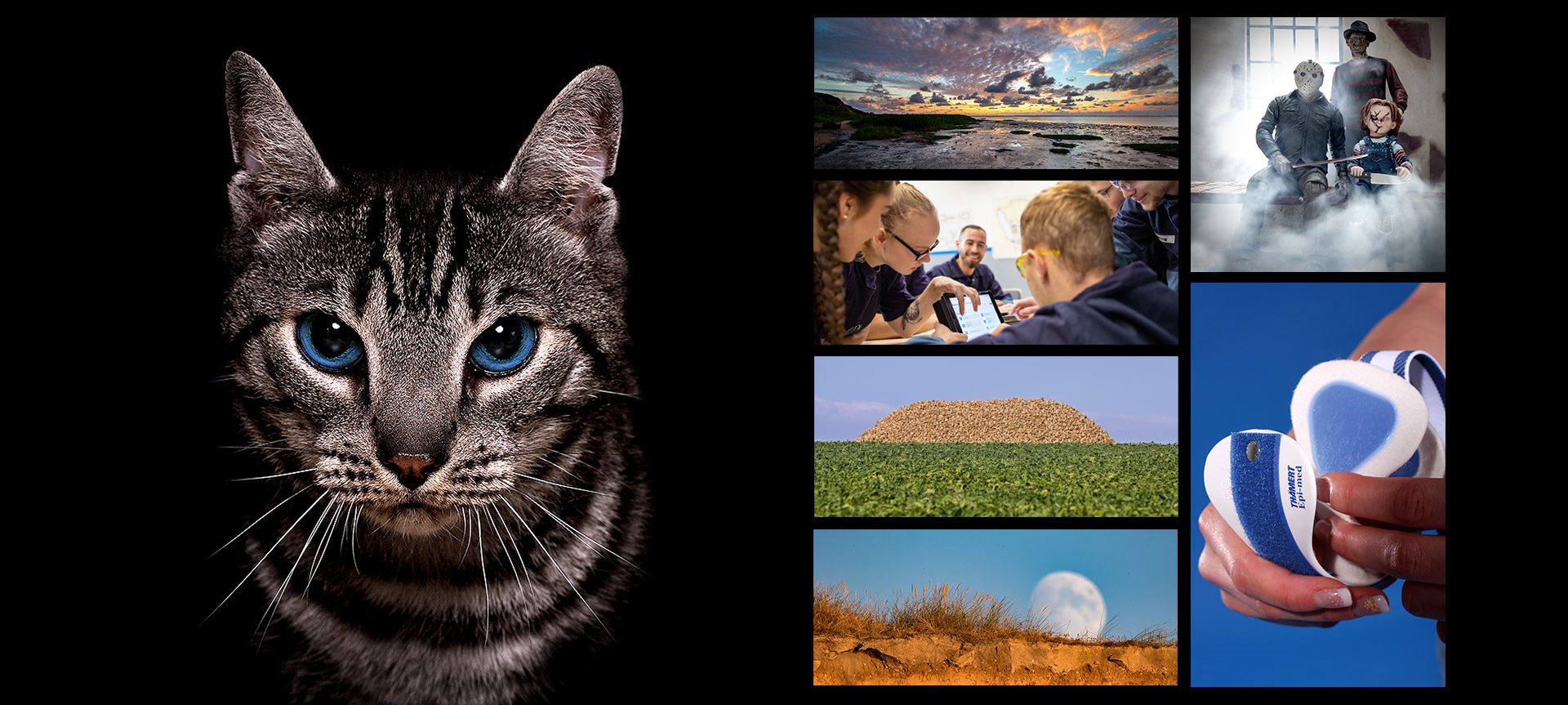 Design + Marketing Fotografie Referenzen Design + Marketing Fotografie Referenzen