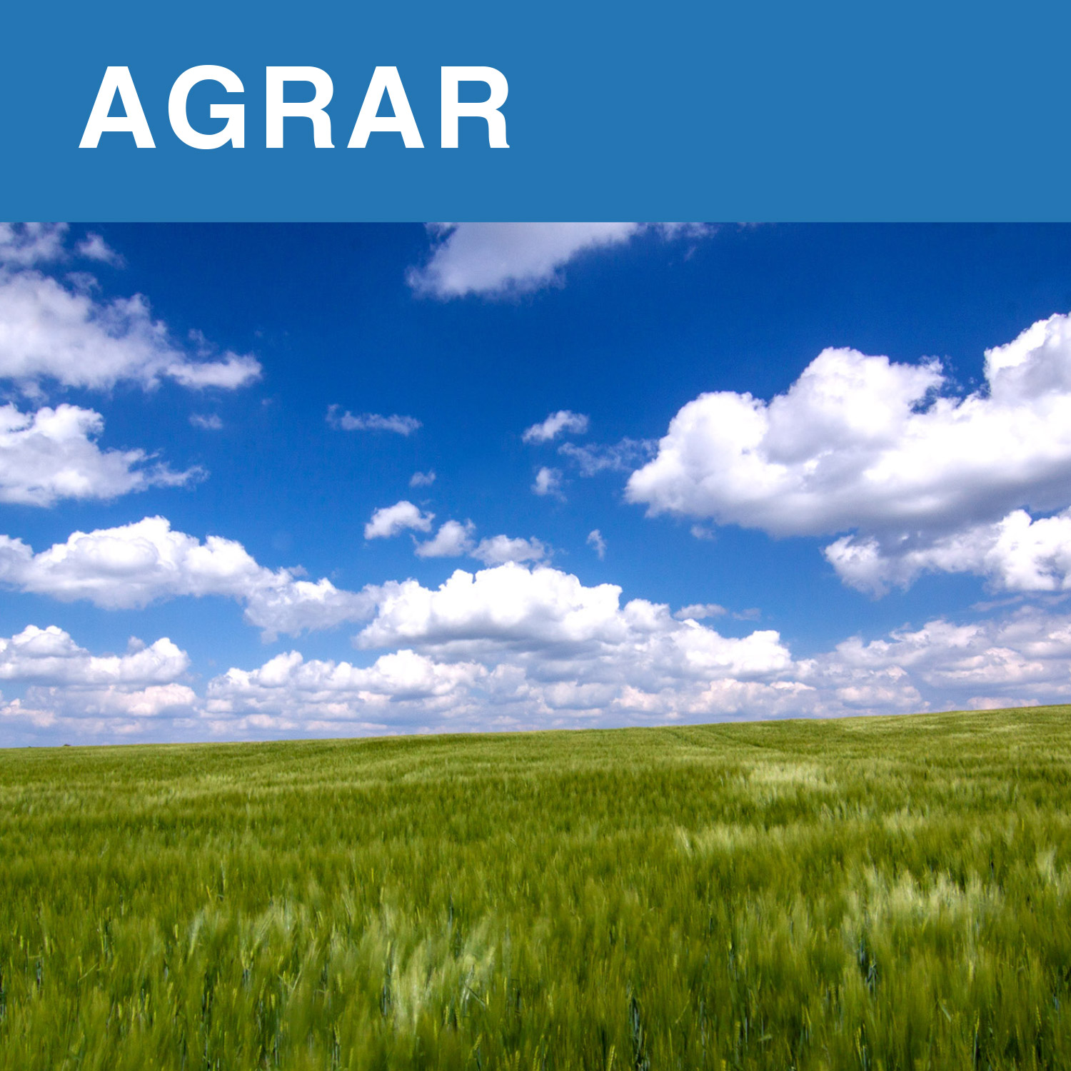 Landwirtschaft und Forst Landwirtschaft und Forst