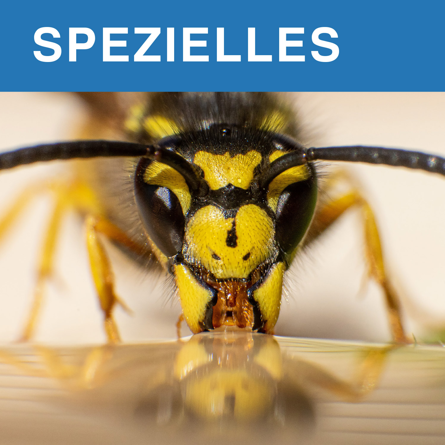 Design + Marketing Fotografie Speziallösungen Design + Marketing Fotografie Speziallösungen